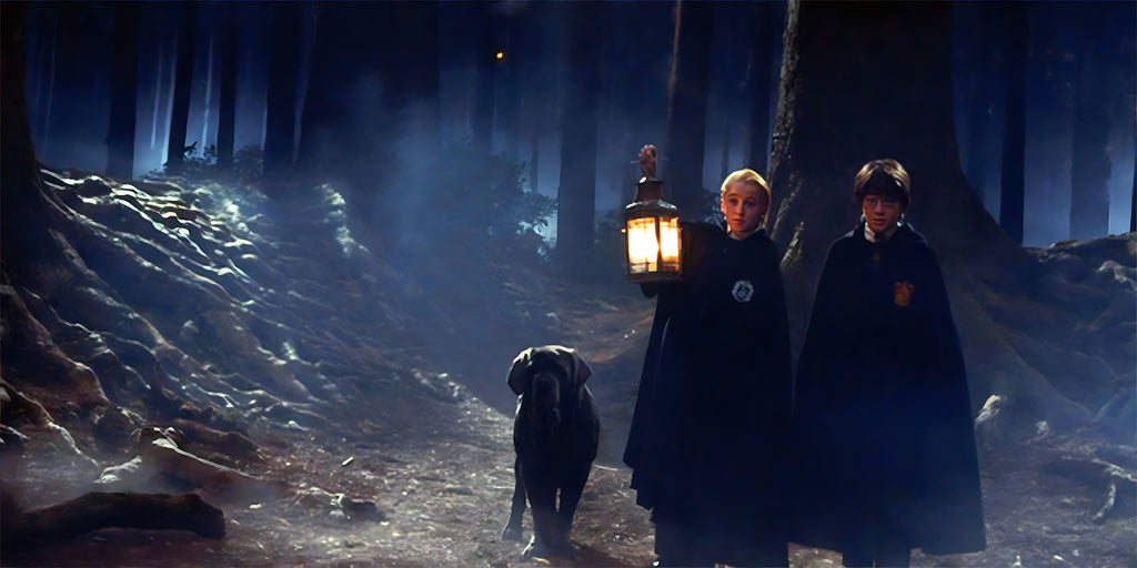 La mystérieuse Forêt interdite de Harry Potter