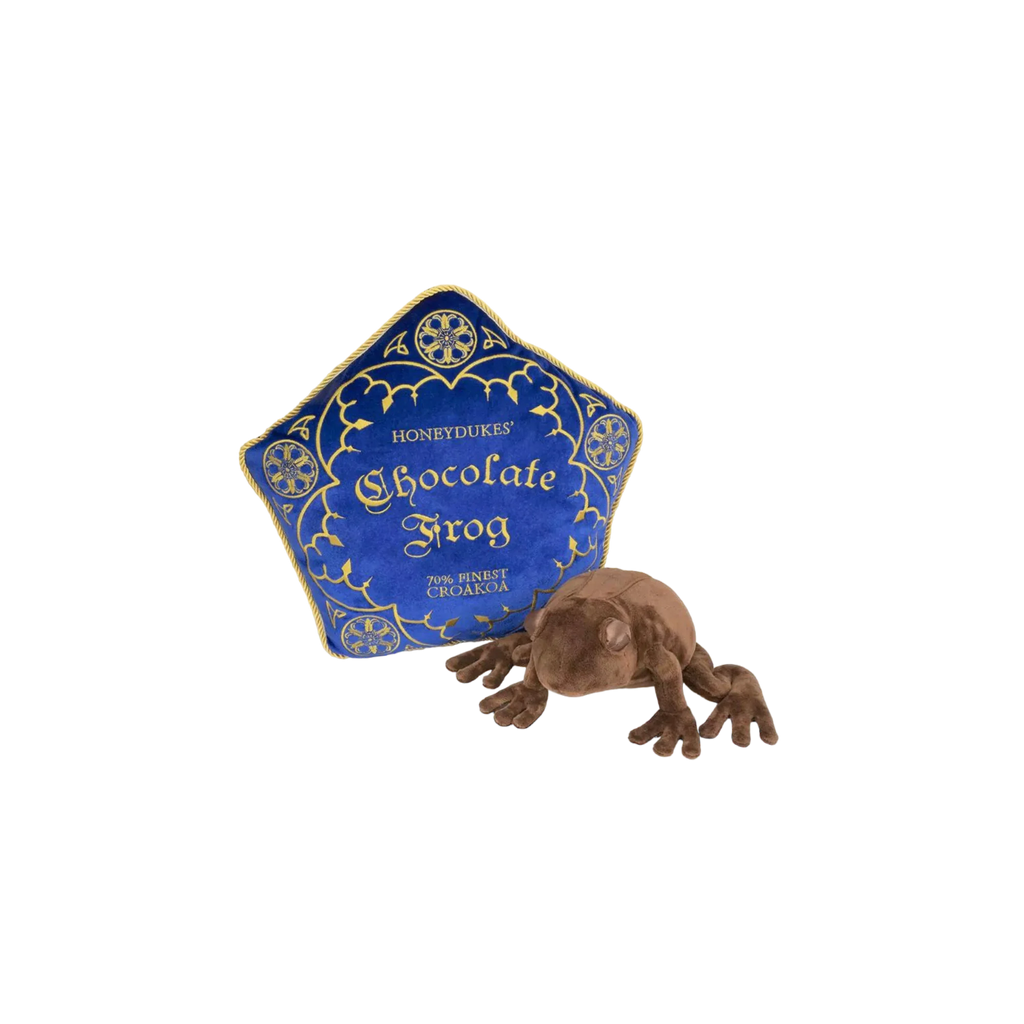 Coussin Harry Potter et peluche - Chocogrenouille - AXCIO