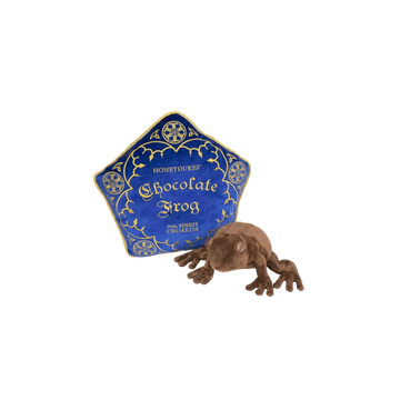 Coussin Harry Potter et peluche - Chocogrenouille - AXCIO