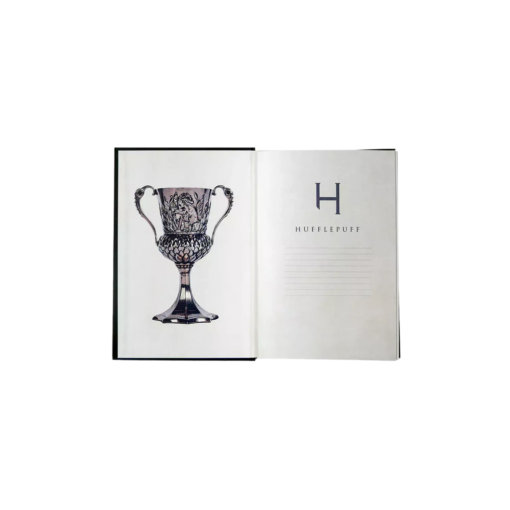 Carnet Harry Potter - Poufsouffle - AXCIO