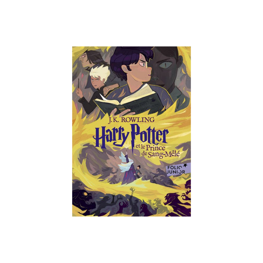 livre-harry-potter-et-le-prince-de-sang-mele-folio-2023