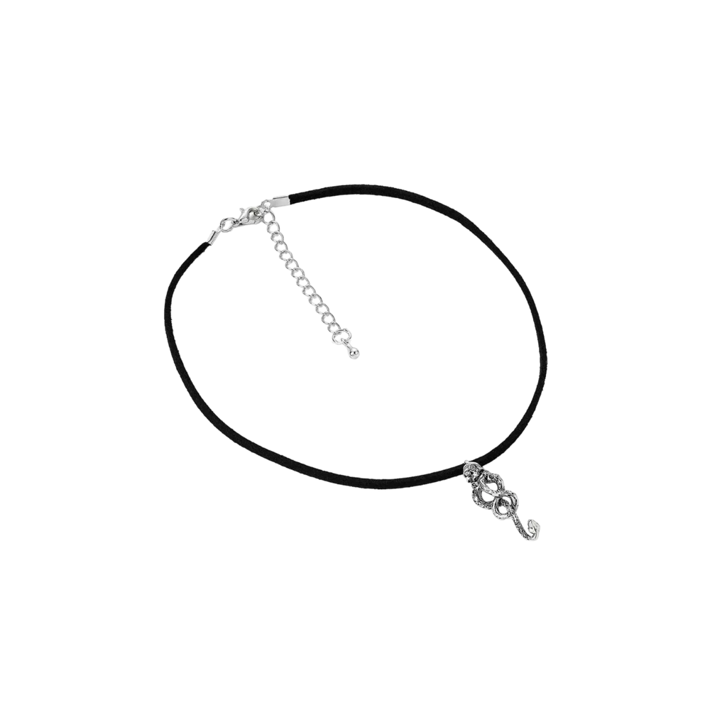 Collier Harry Potter - Marque des ténèbres - AXCIO