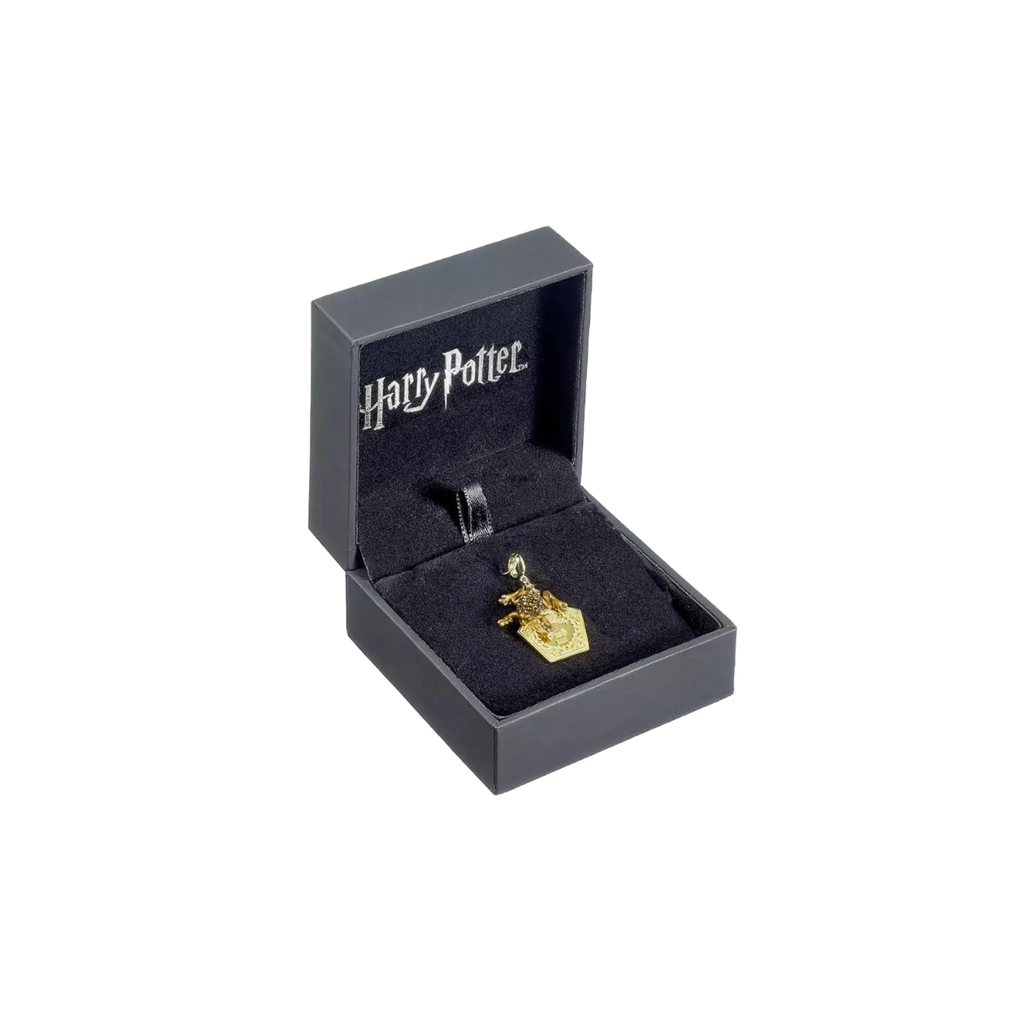 Charms Harry Potter - Chocogrenouille - AXCIO