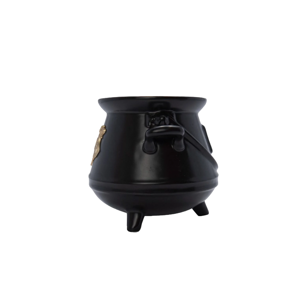 mug-3d-harry-potter-chaudron