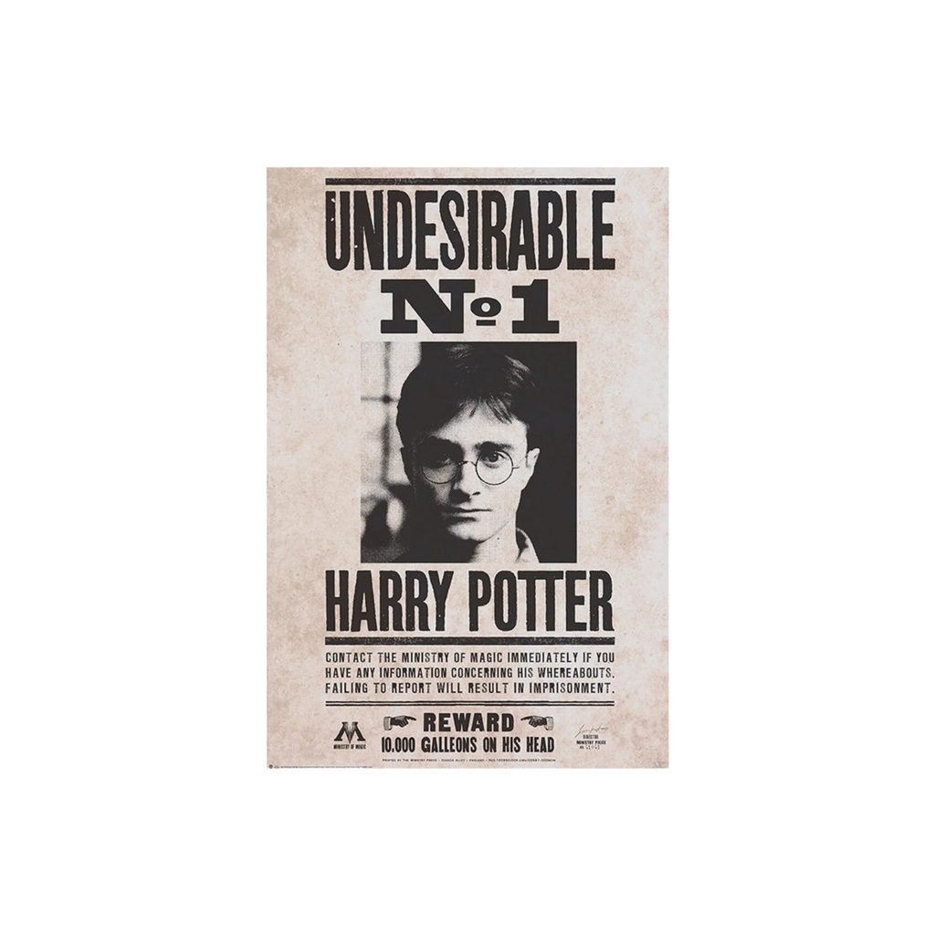 poster-harry-potter-undesirable