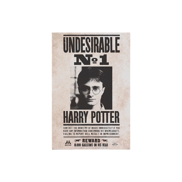 poster-harry-potter-undesirable